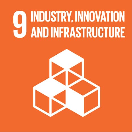 Sustainable Development Goal 9: Industry, Innovation and Infrastructure