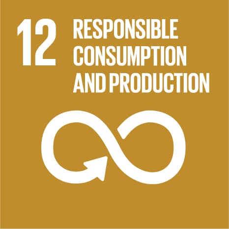 Sustainable Development Goal 12: Responsible Consumption and Production